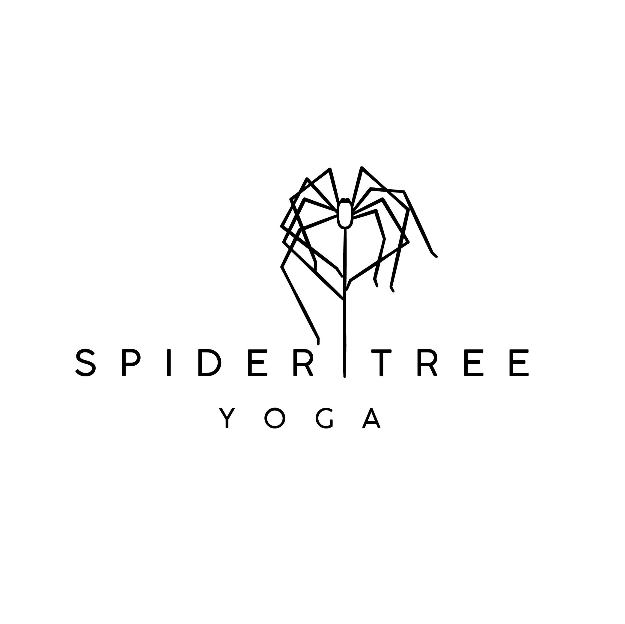 steven cote graphic design logo branding visual communication spider tree
